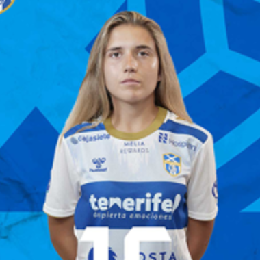 Bicho